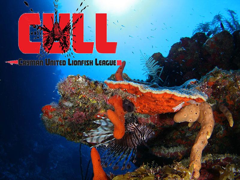 Diving Grand Cayman Lionfish-Cull