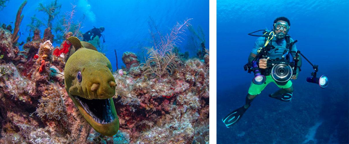 Grand Cayman Scuba Diving eel