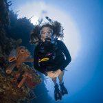 Grand Cayman North Wall Diving