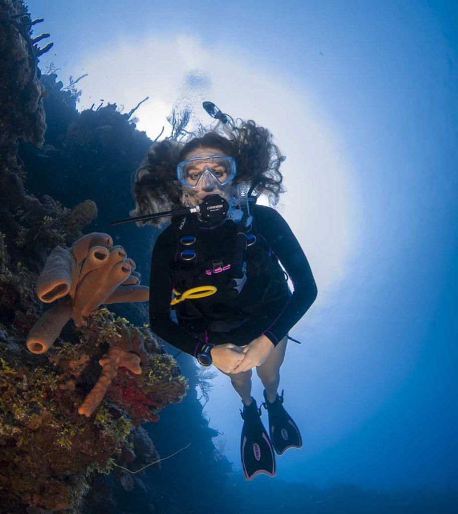 Grand Cayman North Wall Diving