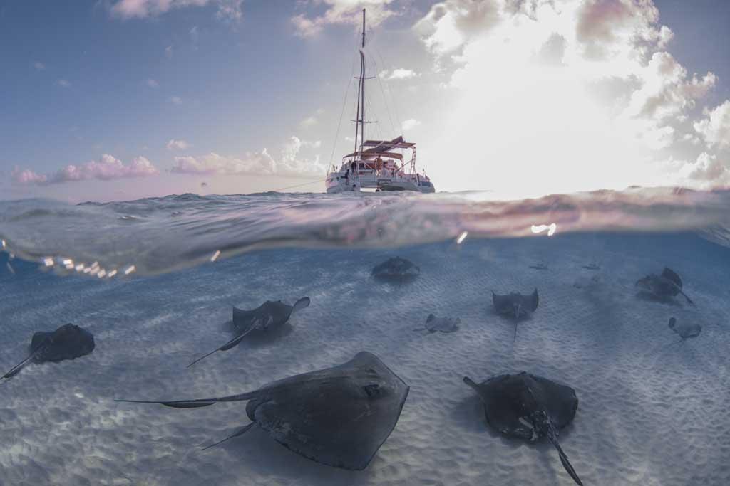 Stingray City