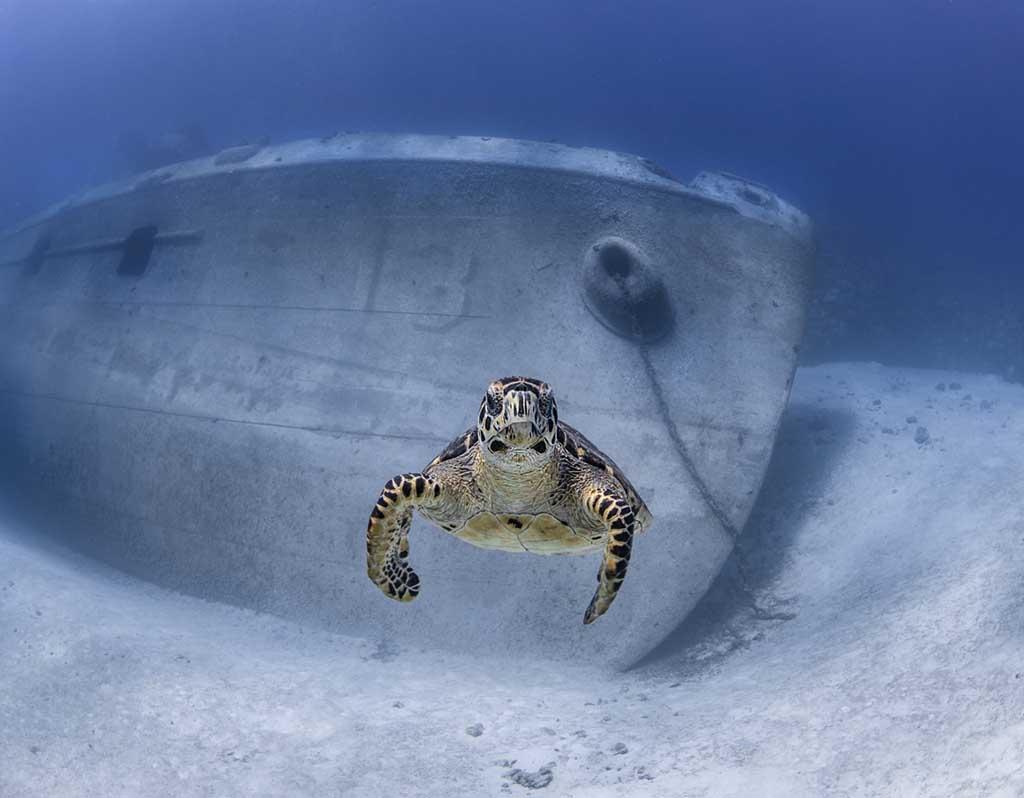 West Side Diving Grand Cayman