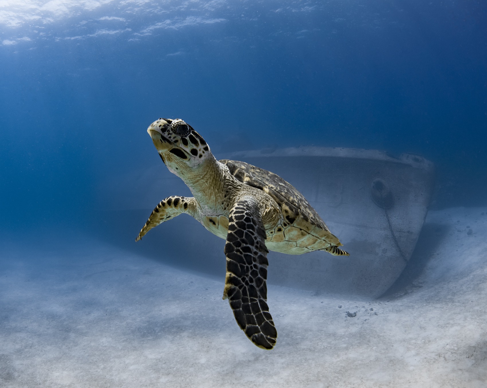 Kittiwake shipwreck grand cayman